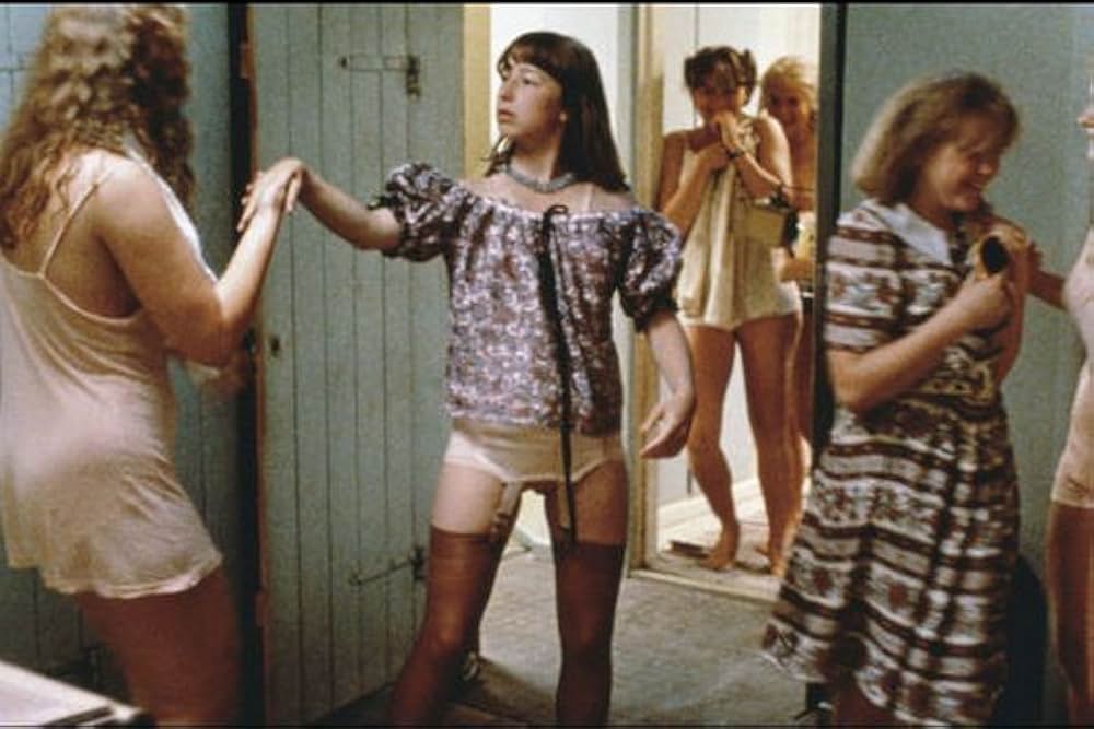 気取り屋の画像