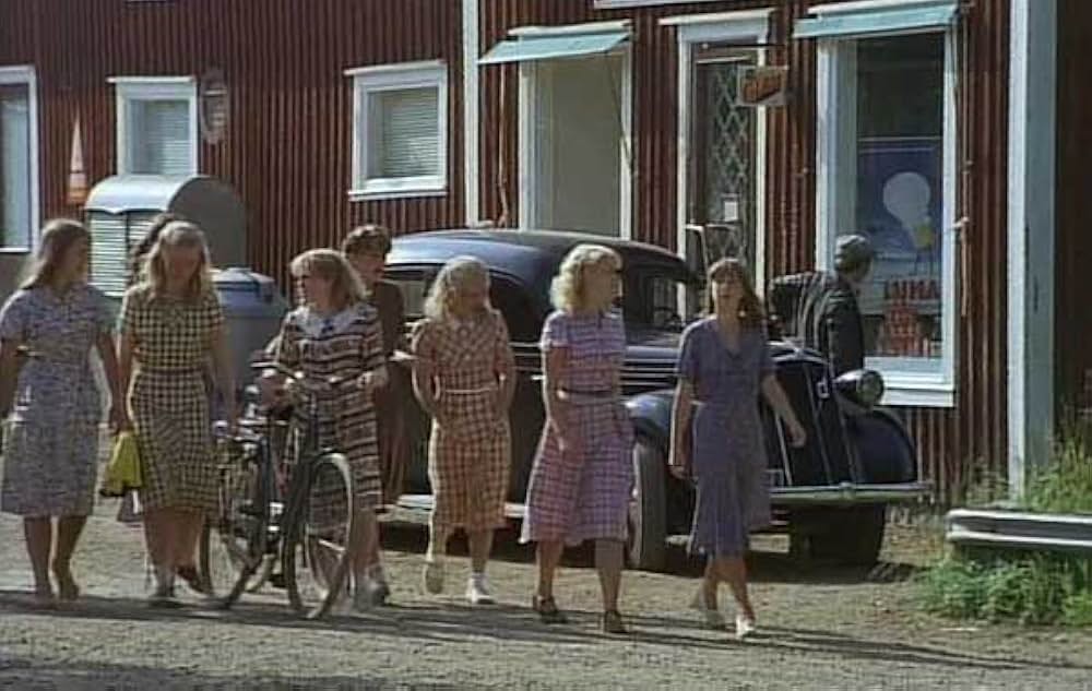 気取り屋の画像