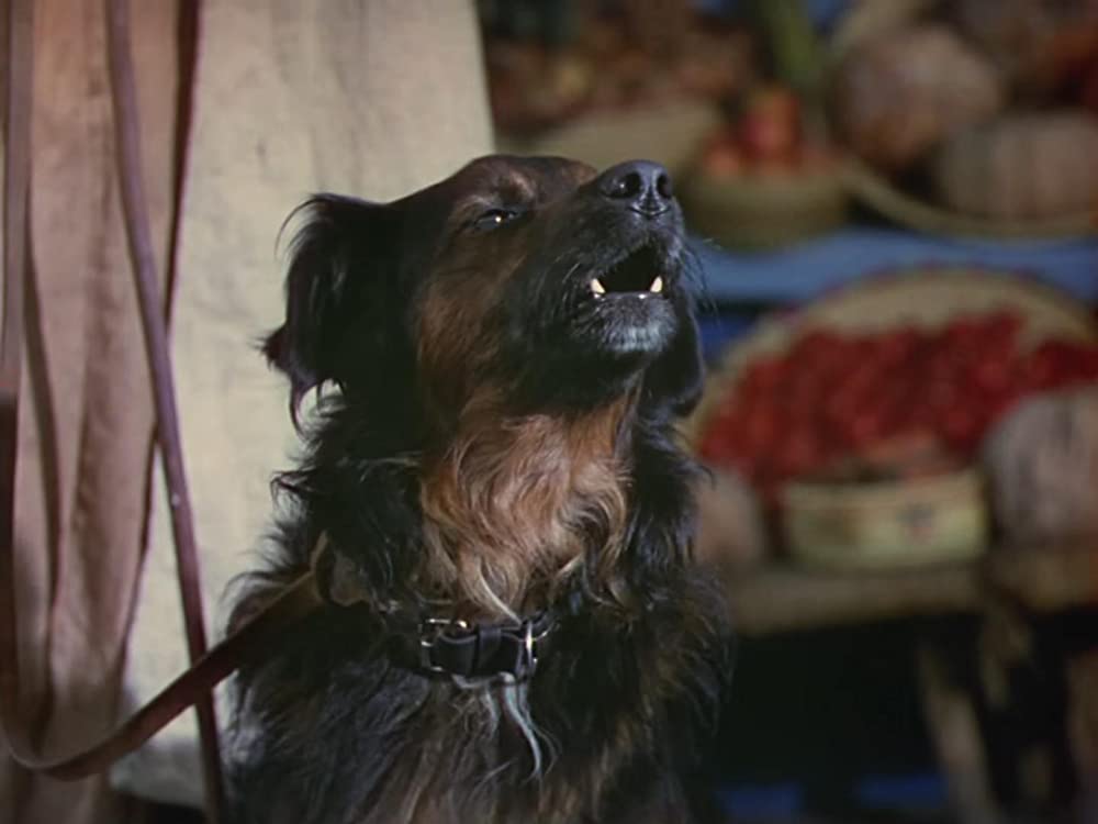 バグダッドの盗賊の画像