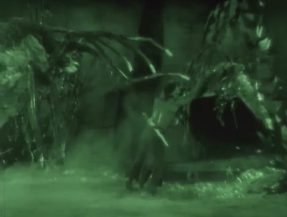 「バグダッドの盗賊」ダグラス・フェアバンクスの画像