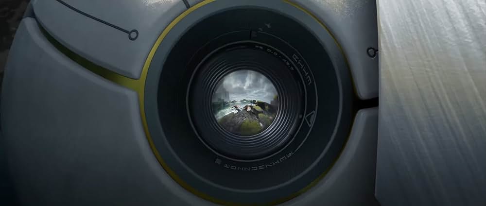 野生の島のロズの画像