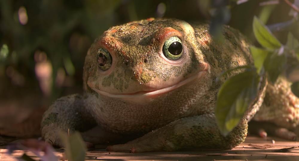 ガーデンパーティーの画像