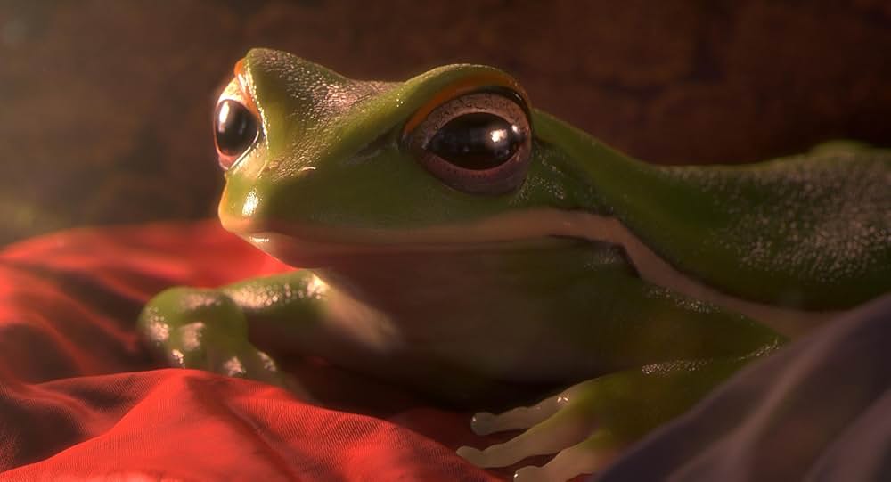 ガーデンパーティーの画像