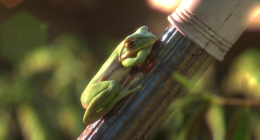 ガーデンパーティーの画像