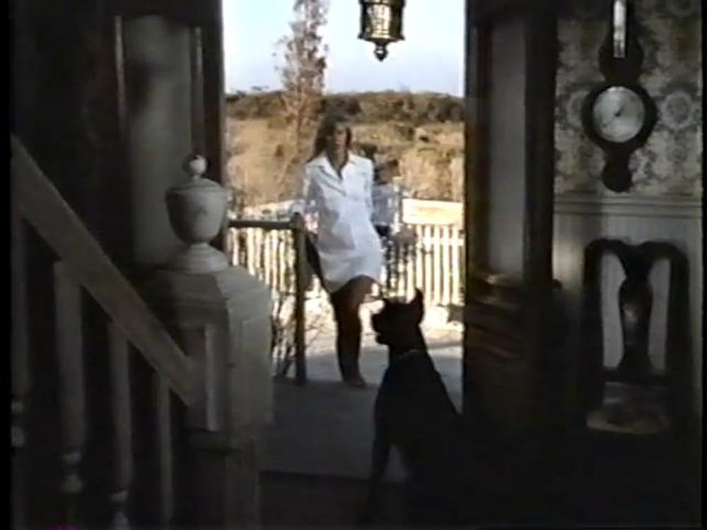 ドーベルマン犬の島の画像