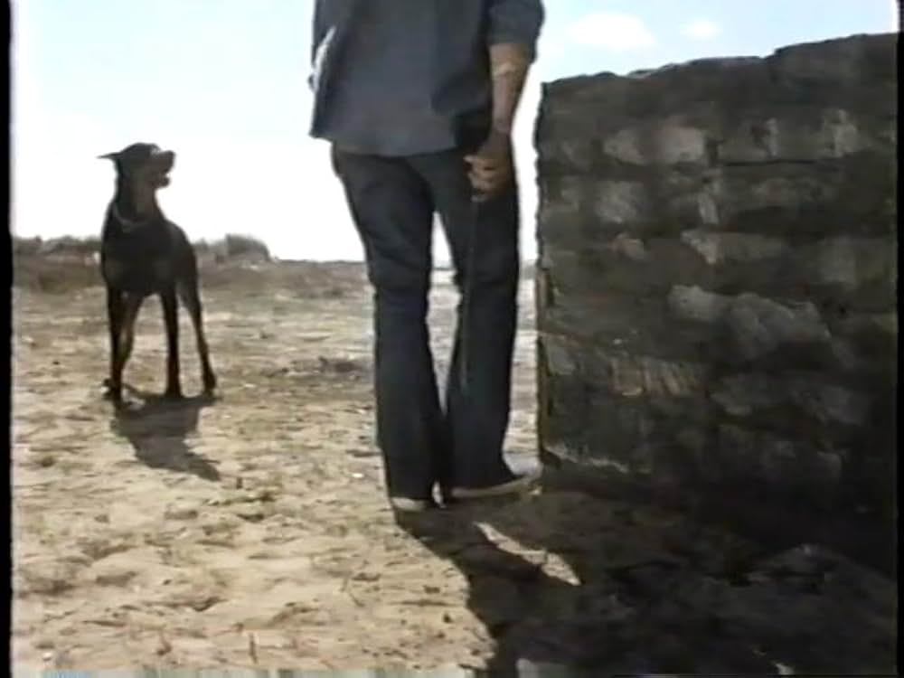 ドーベルマン犬の島の画像