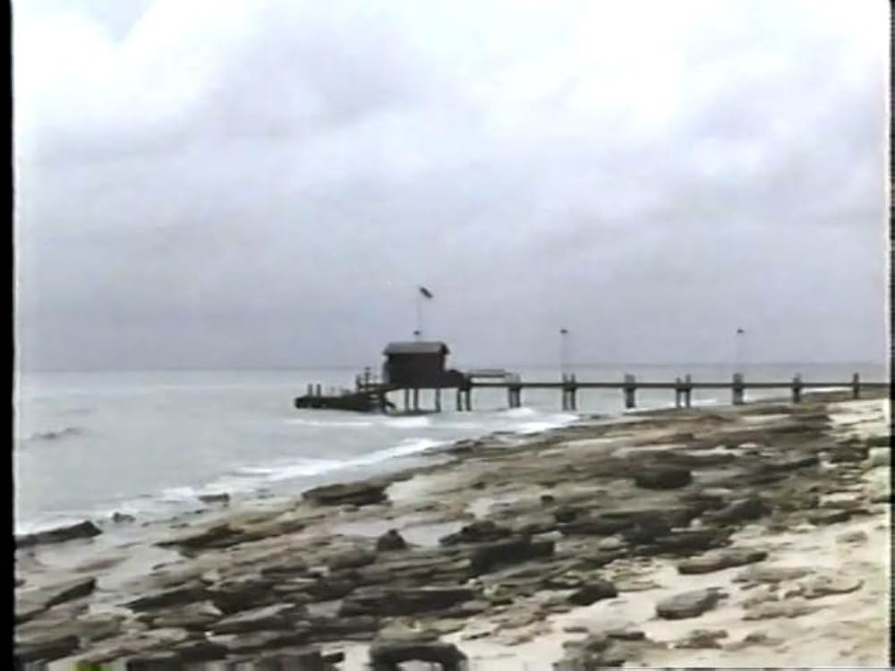 ドーベルマン犬の島の画像