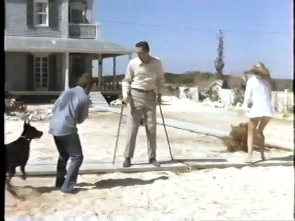 ドーベルマン犬の島の画像