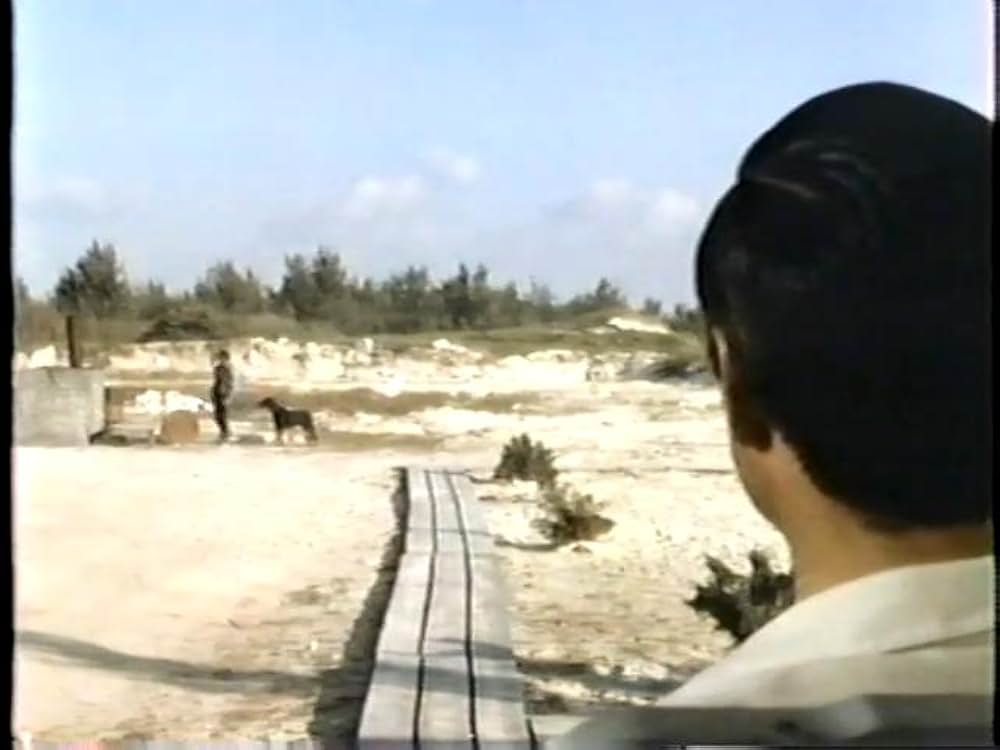 ドーベルマン犬の島の画像