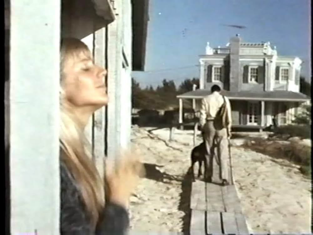 ドーベルマン犬の島の画像