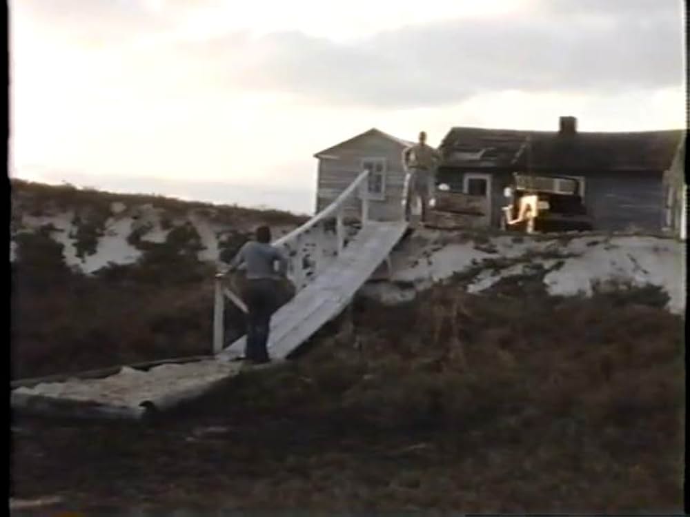 ドーベルマン犬の島の画像