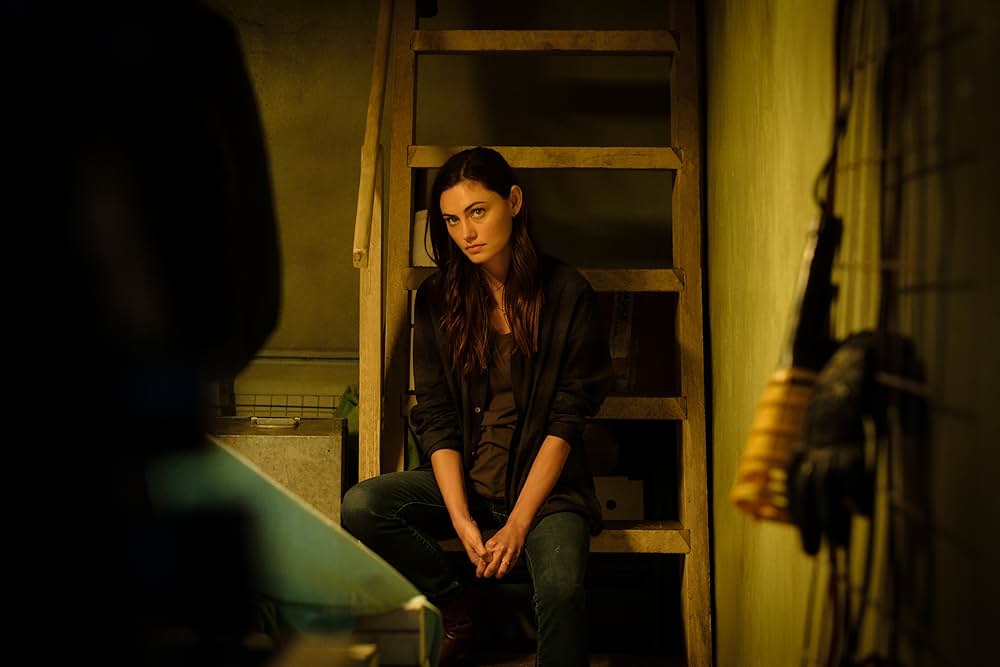 トランスフュージョンの画像