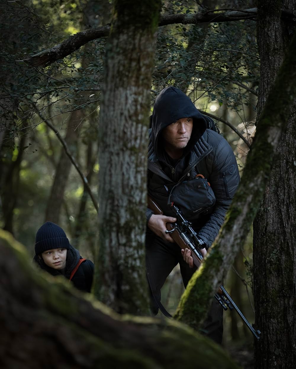 トランスフュージョンの画像