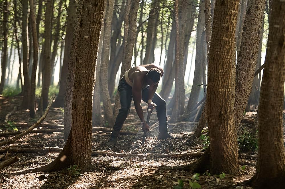 ハート・オブ・ザ・ハンターの画像