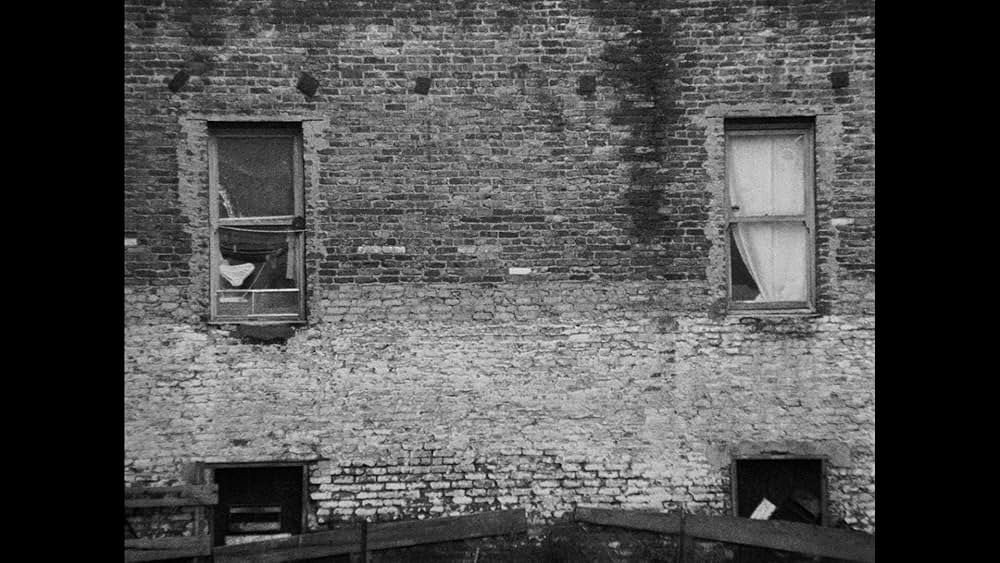 Chan Is Missing(原題)の画像