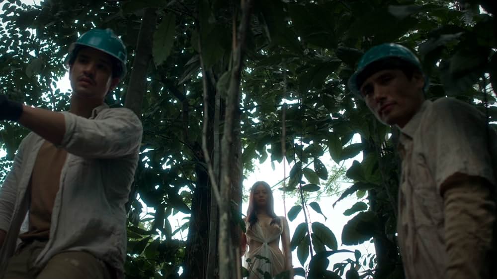 ヴァージンフォレスト 愛欲の奴隷の画像