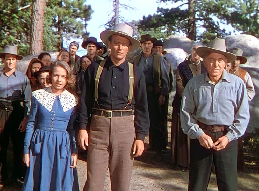 丘の羊飼いの画像