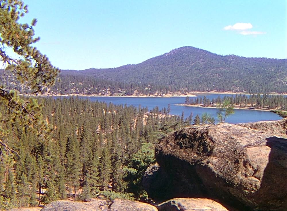 丘の羊飼いの画像