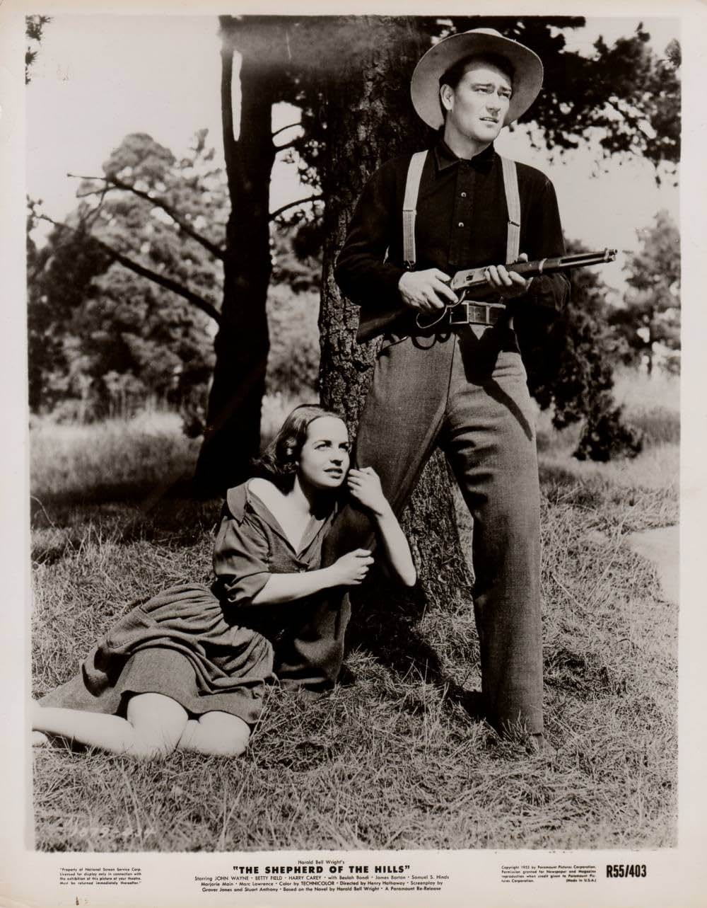 丘の羊飼いの画像