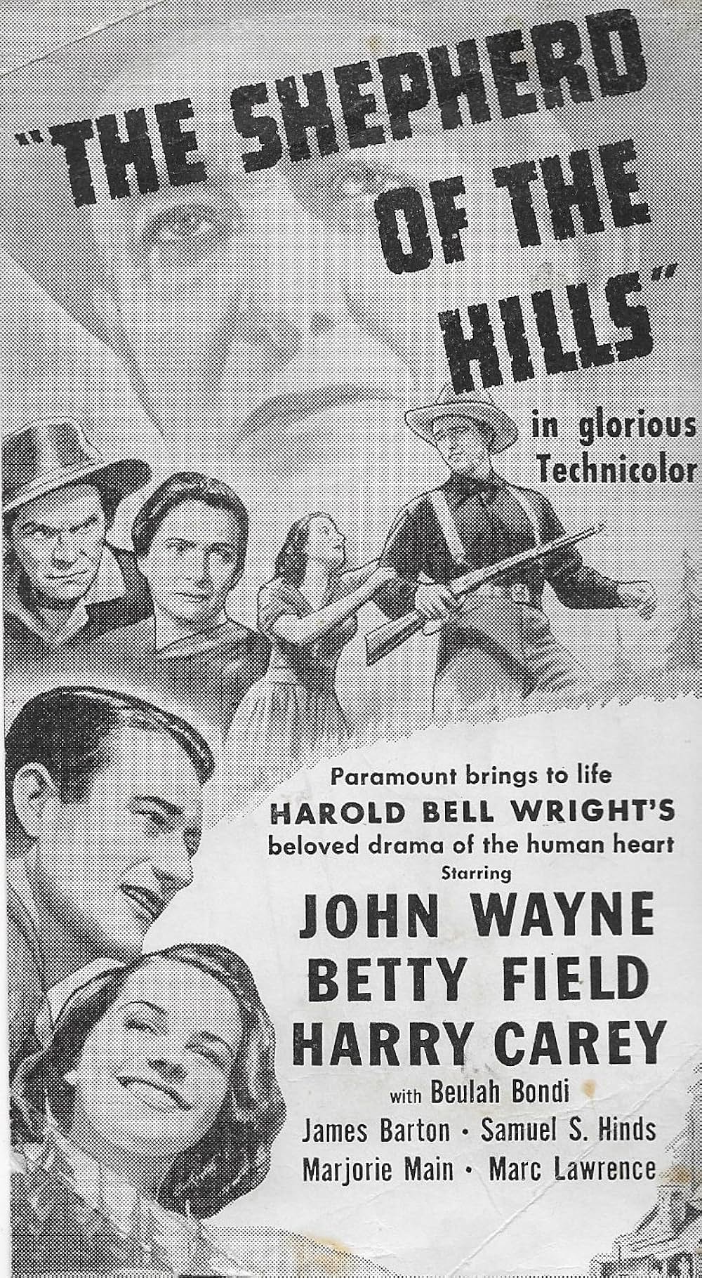 丘の羊飼いの画像