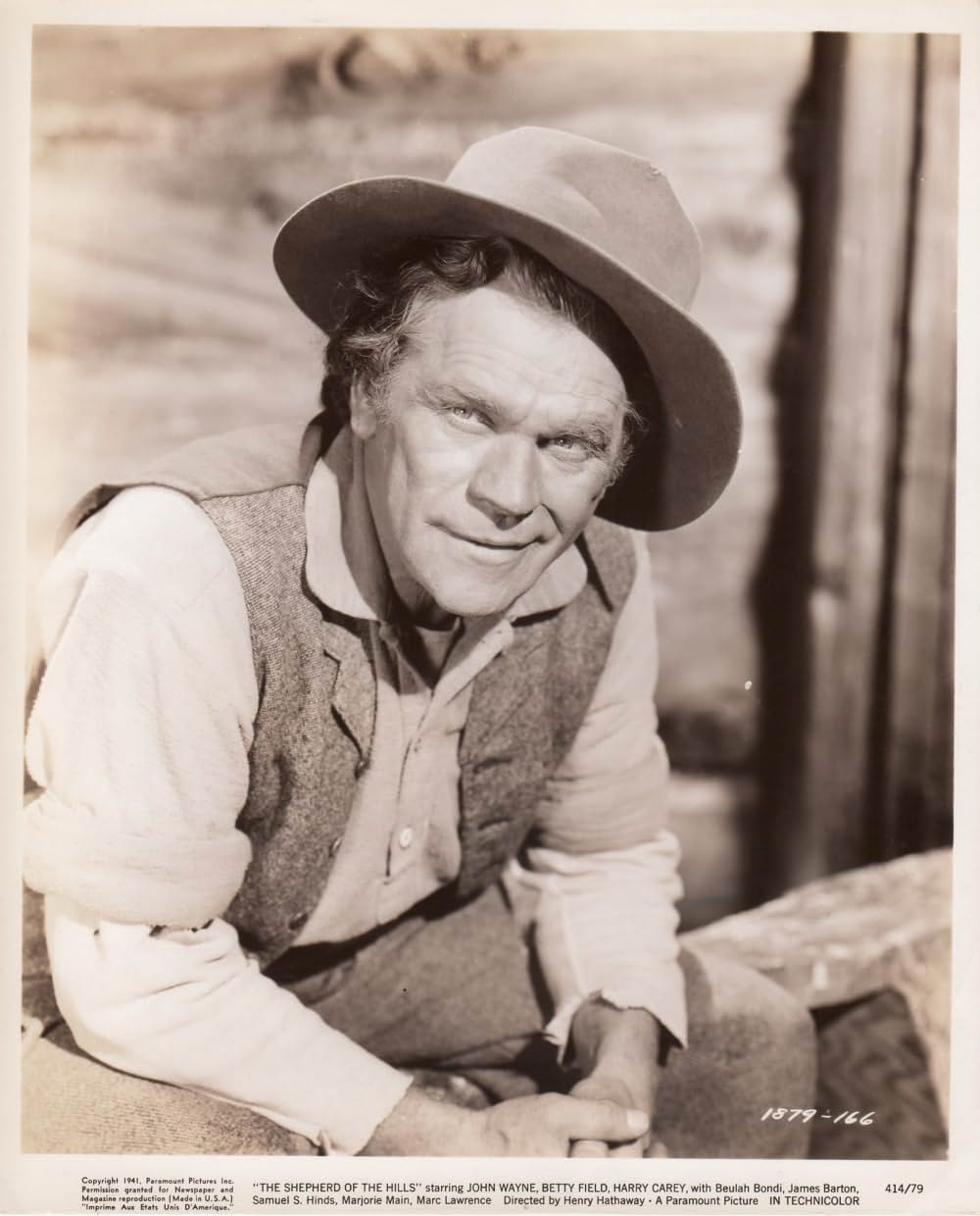 丘の羊飼いの画像