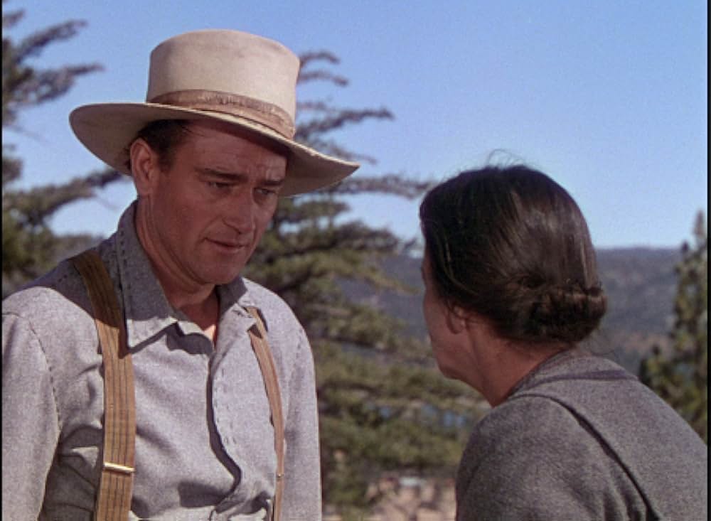 丘の羊飼いの画像