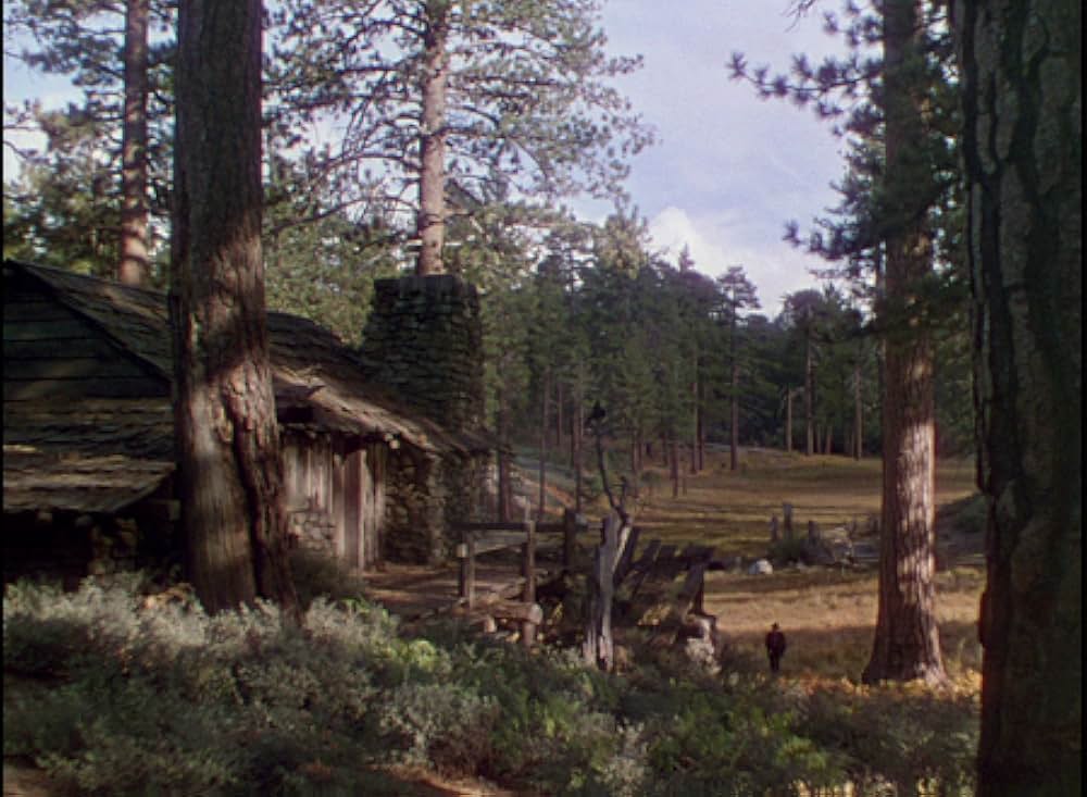 丘の羊飼いの画像