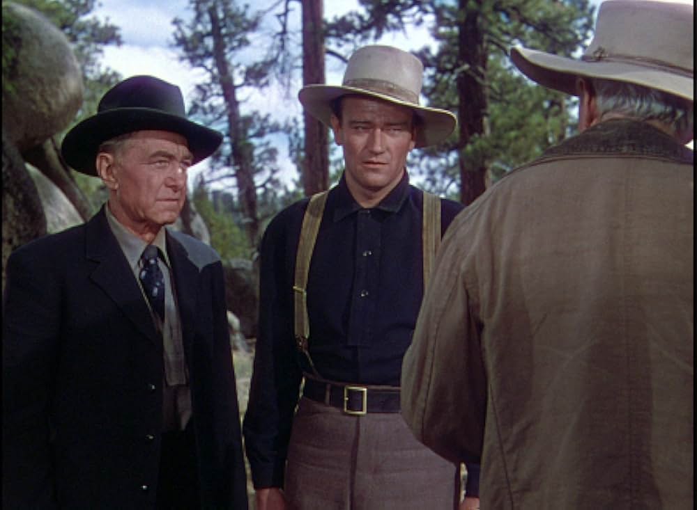 丘の羊飼いの画像