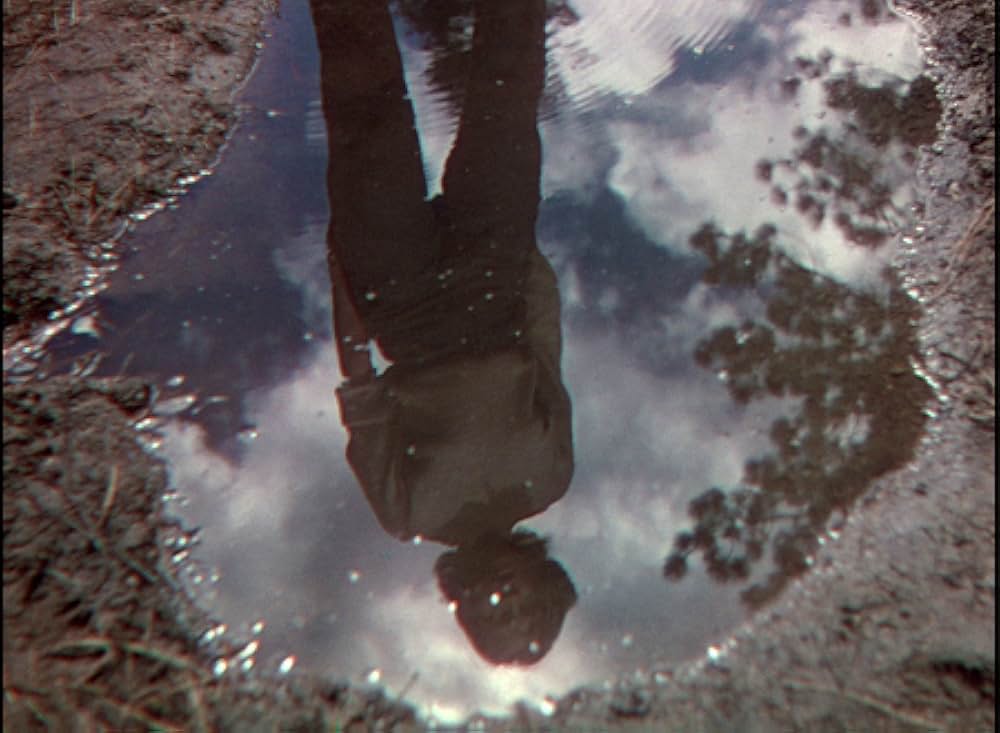 丘の羊飼いの画像