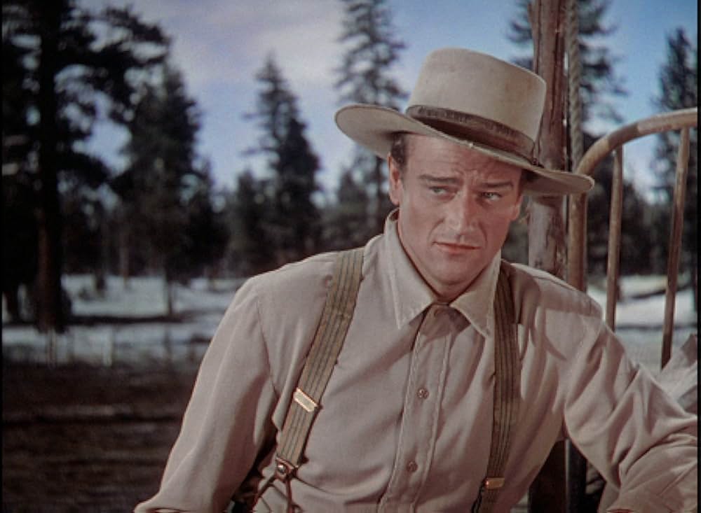 丘の羊飼いの画像