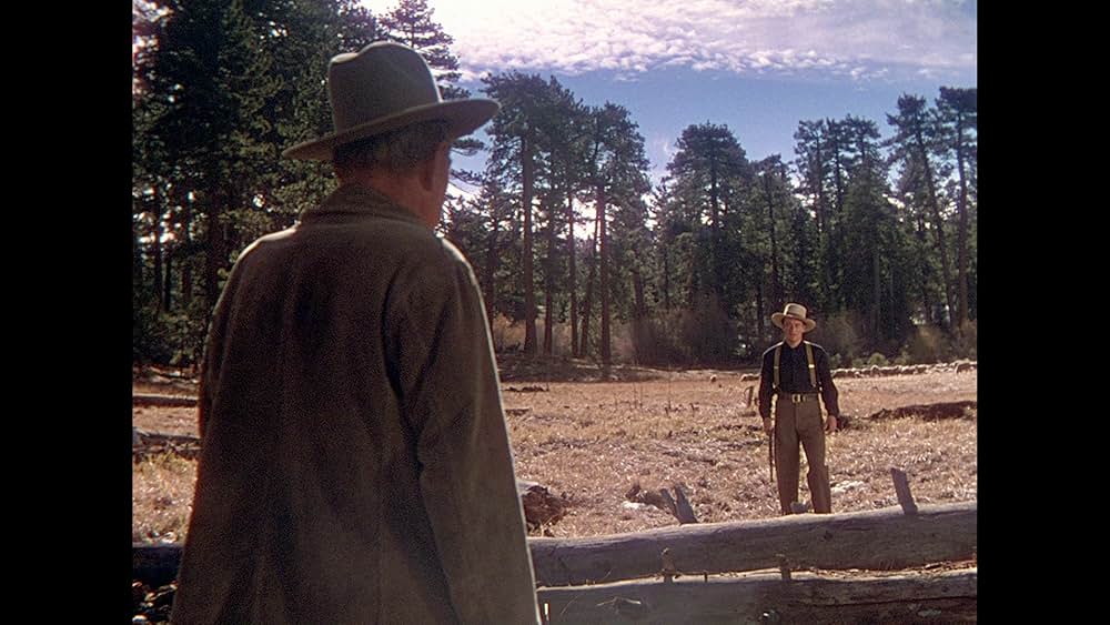 丘の羊飼いの画像