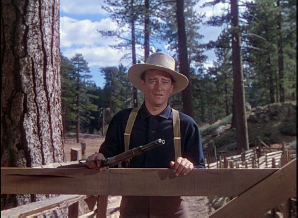 丘の羊飼いの画像