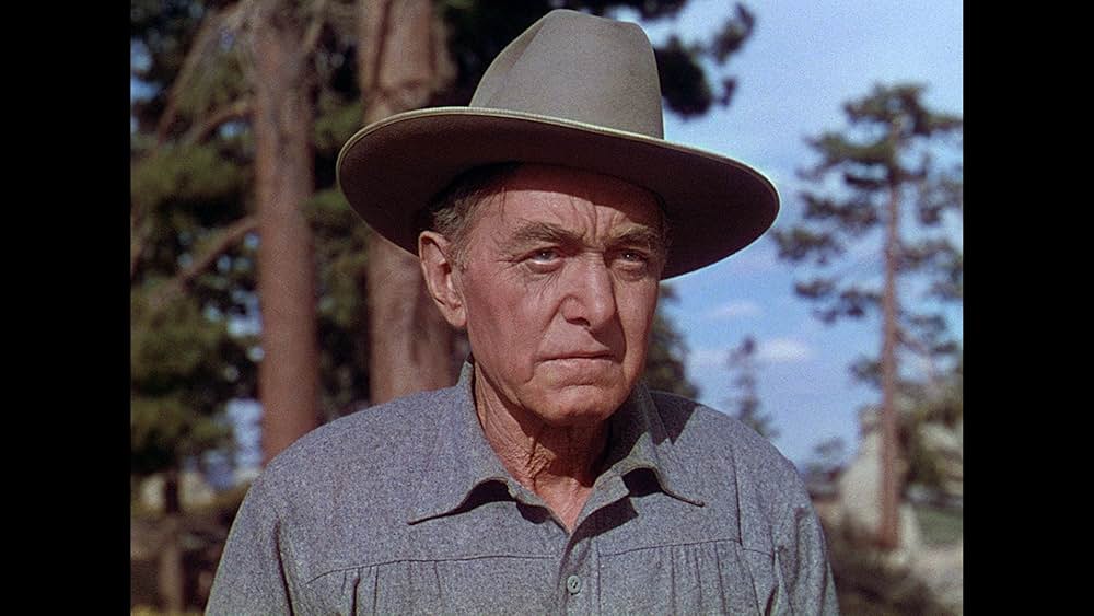 丘の羊飼いの画像