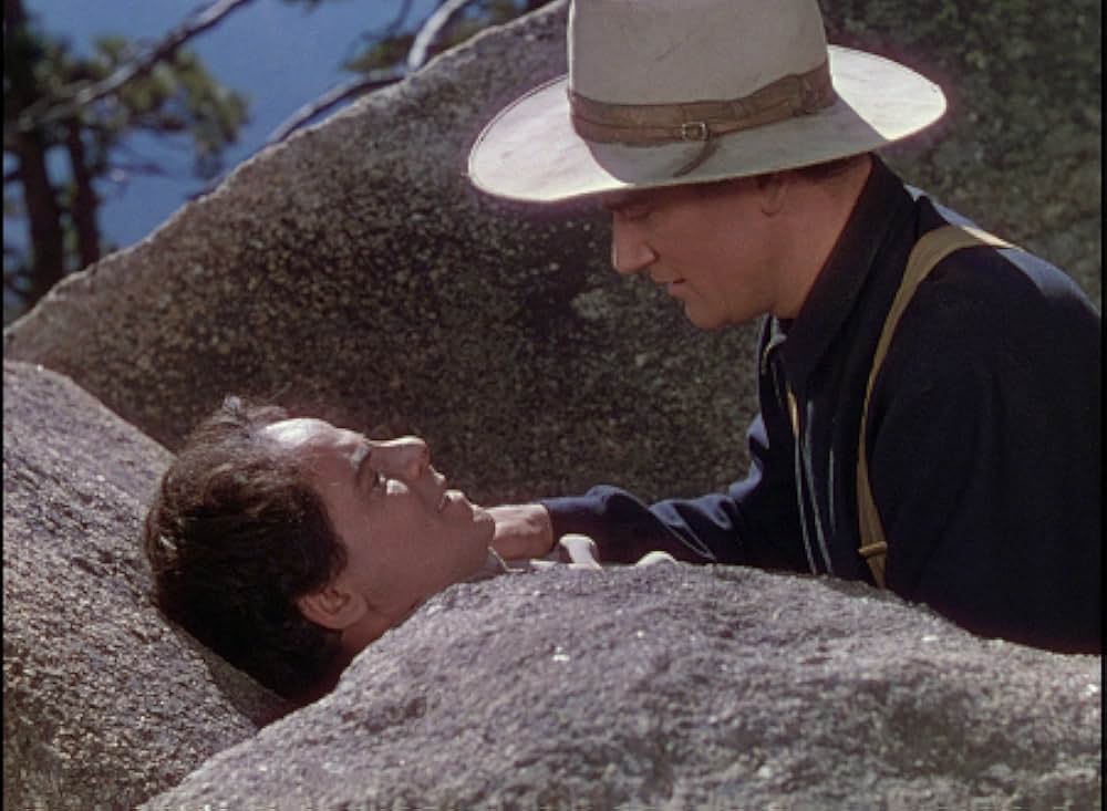 丘の羊飼いの画像