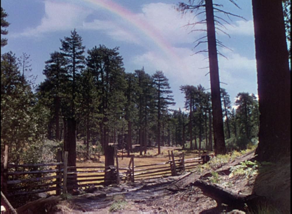丘の羊飼いの画像