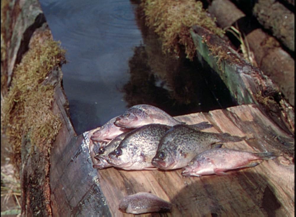 丘の羊飼いの画像