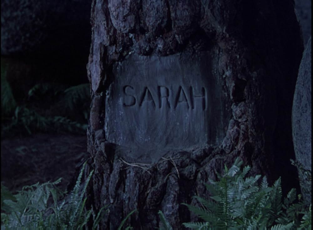 丘の羊飼いの画像