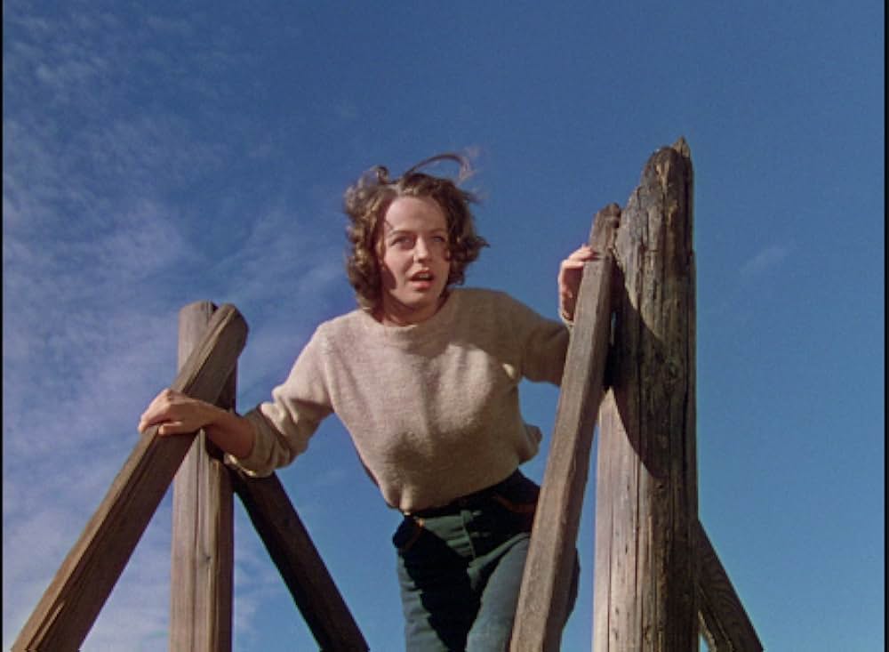 丘の羊飼いの画像