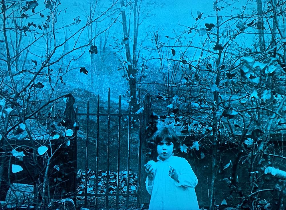 Falling Leaves（原題）の画像