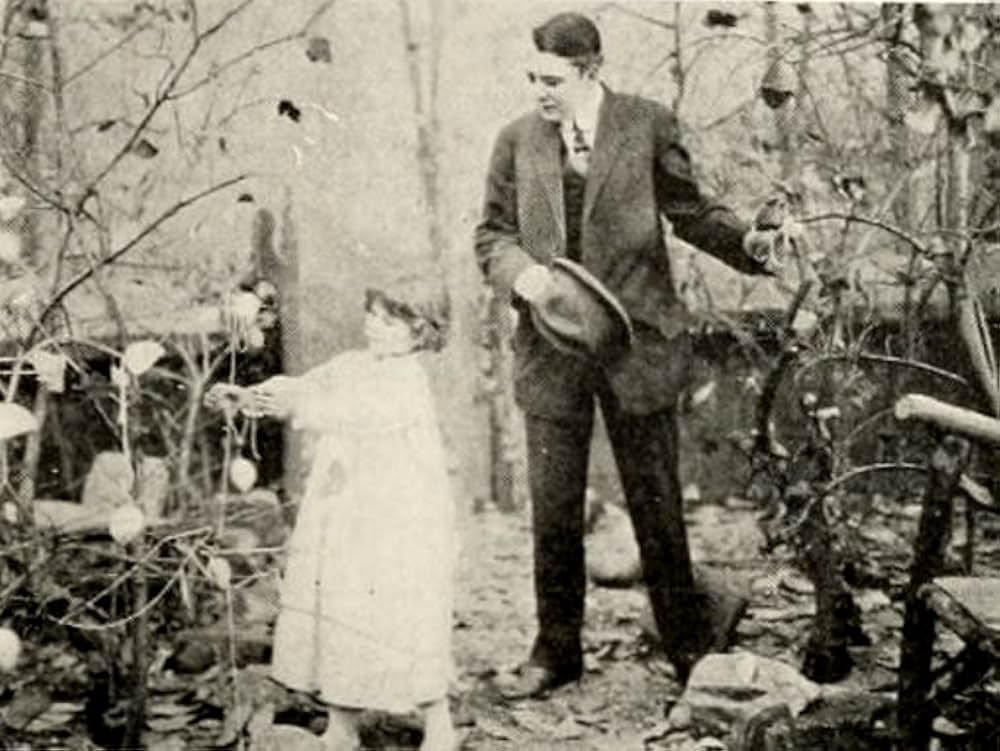 Falling Leaves（原題）の画像