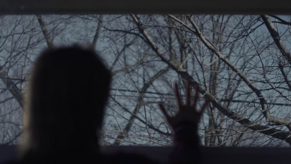 アダルト・ワールド（原題）の画像