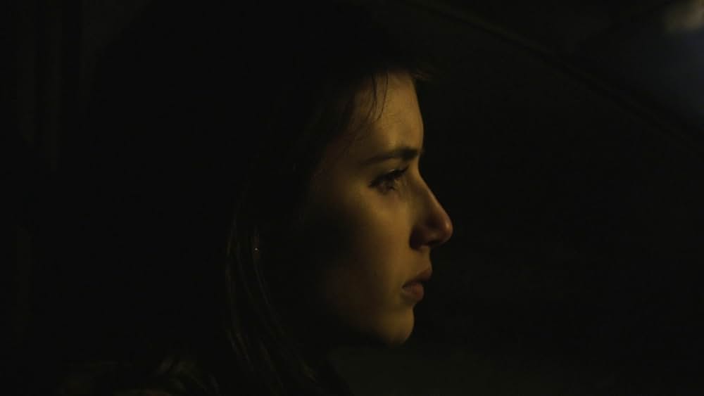 アダルト・ワールド（原題）の画像