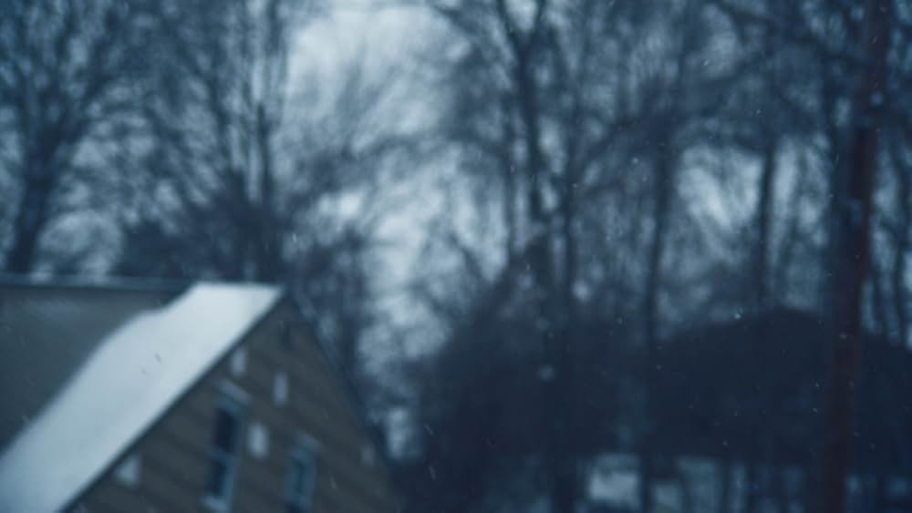 アダルト・ワールド（原題）の画像