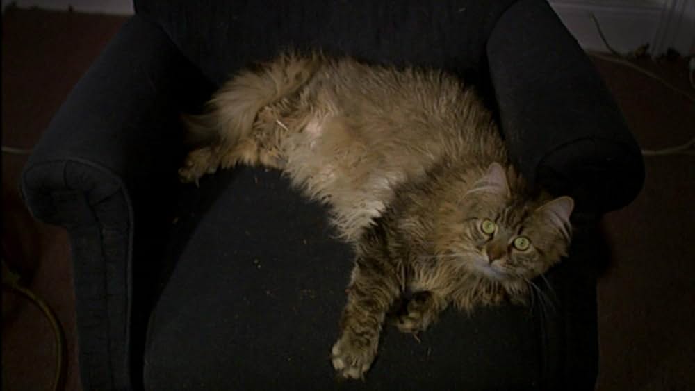 マーダー・パーティーの画像