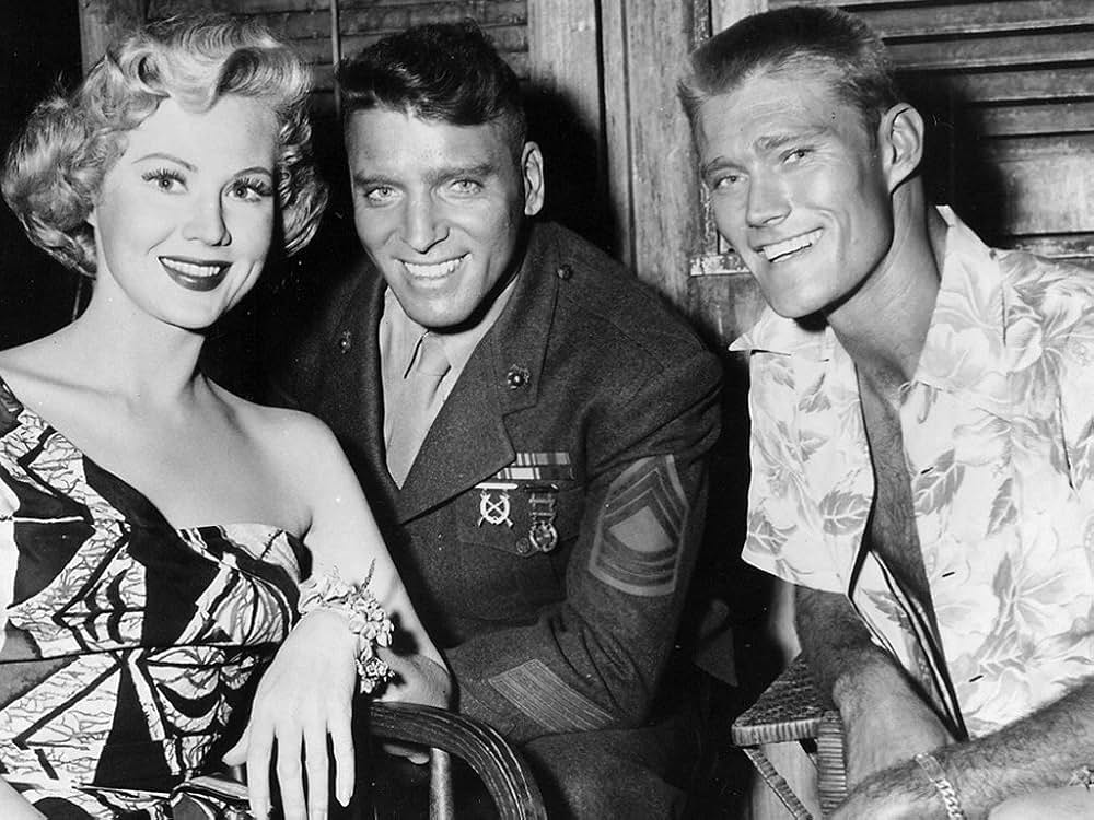 南海ピンク作戦の画像