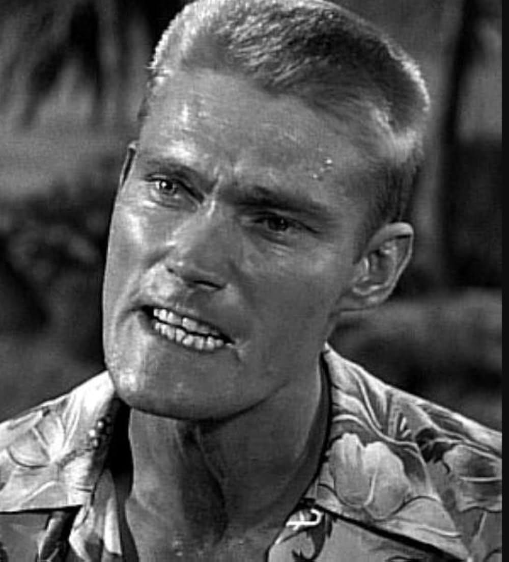 南海ピンク作戦の画像