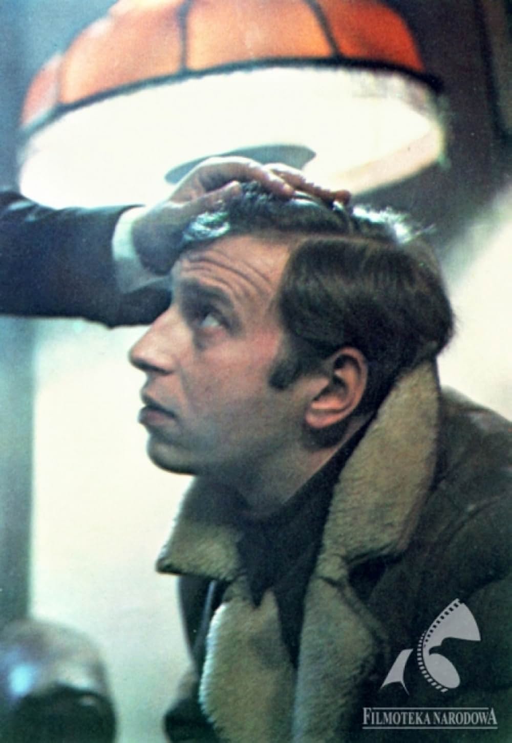 トップ・ドッグの画像