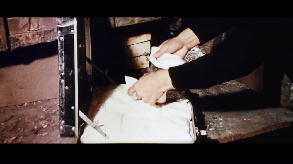 ブルース・リーを探せ！の画像