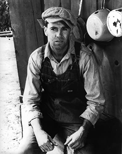 怒りの葡萄の画像