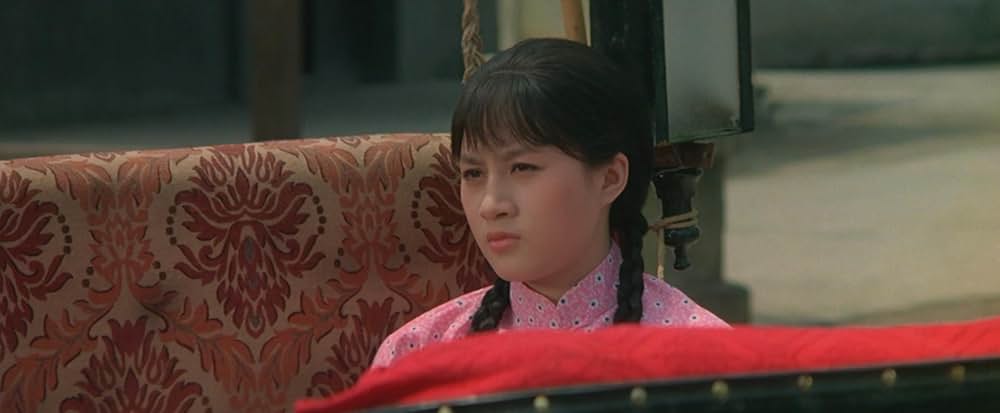 ヒーロー・オブ・カンフー 蔡李仏拳の画像